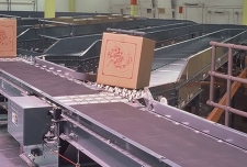 Conveyor System Pop Up Wheel Sorter